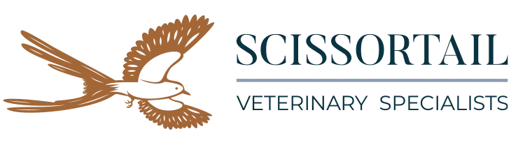 Scissortail Veterinary Specialists